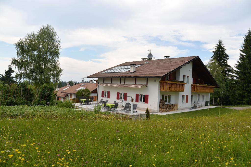 Petersberg Garni Sonnegg Bed & Breakfast エクステリア 写真